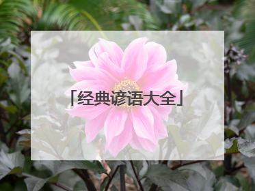 经典谚语大全