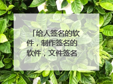 给人签名的软件，制作签名的软件，文件签名用什么软件