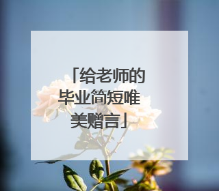 给老师的毕业简短唯美赠言