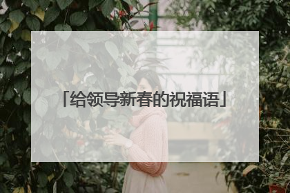 给领导新春的祝福语