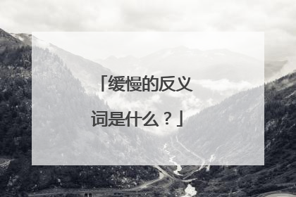 缓慢的反义词是什么？