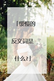 缓慢的反义词是什么?
