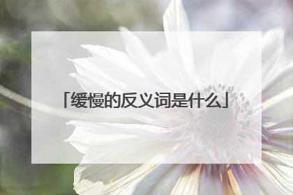 缓慢的反义词是什么
