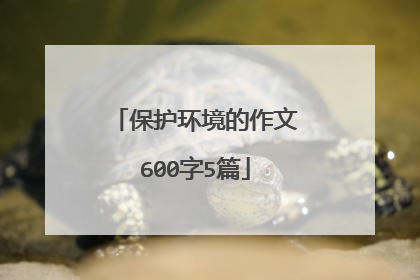 保护环境的作文600字5篇