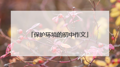 保护环境的初中作文