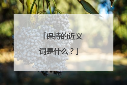 保持的近义词是什么？