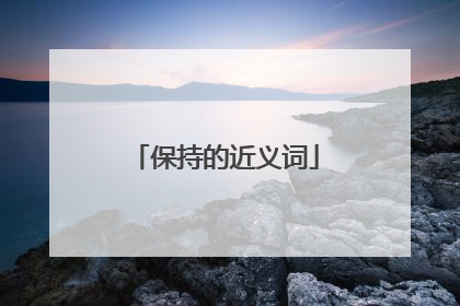 保持的近义词