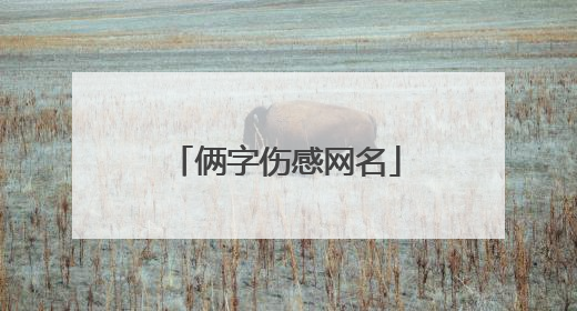俩字伤感网名