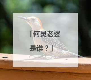何炅老婆是谁？