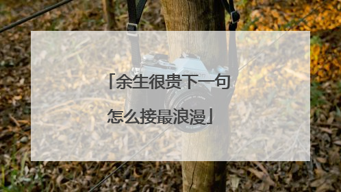 余生很贵下一句怎么接最浪漫
