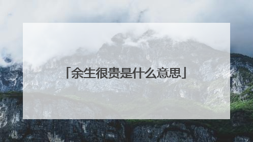余生很贵是什么意思
