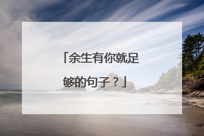 余生有你就足够的句子？