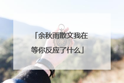 余秋雨散文我在等你反应了什么