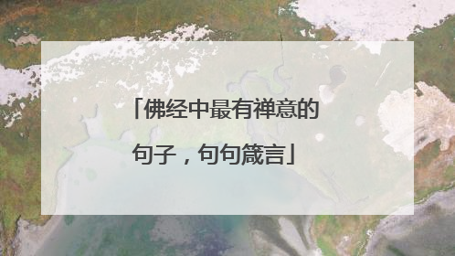 佛经中最有禅意的句子，句句箴言