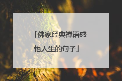 佛家经典禅语感悟人生的句子