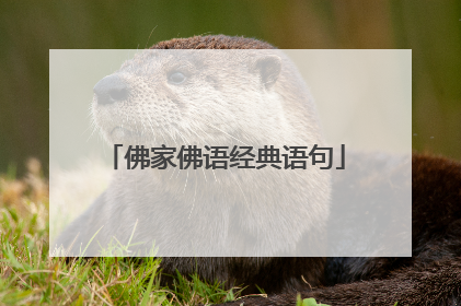 佛家佛语经典语句