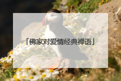佛家对爱情经典禅语