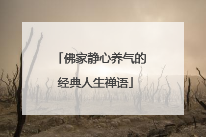 佛家静心养气的经典人生禅语
