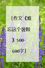 作文《难忘这个暑假》500-600字
