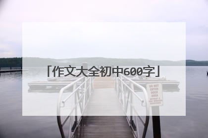 作文大全初中600字
