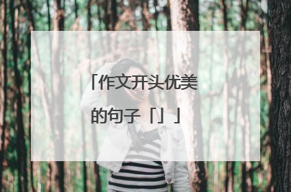 作文开头优美的句子「」