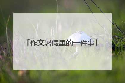 作文暑假里的一件事
