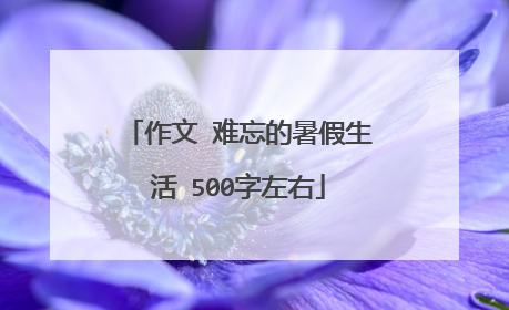 作文 难忘的暑假生活 500字左右