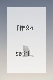作文450字