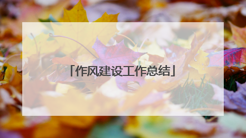 作风建设工作总结