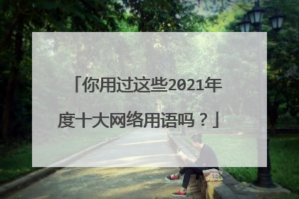 你用过这些2021年度十大网络用语吗？