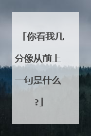 你看我几分像从前上一句是什么?