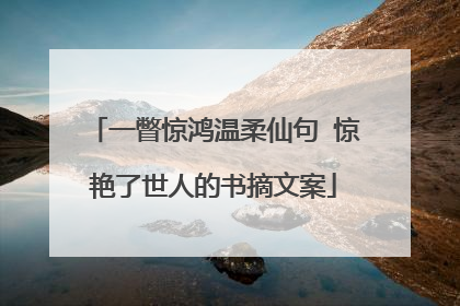 一瞥惊鸿温柔仙句 惊艳了世人的书摘文案