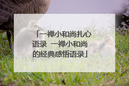 一禅小和尚扎心语录 一禅小和尚的经典感悟语录
