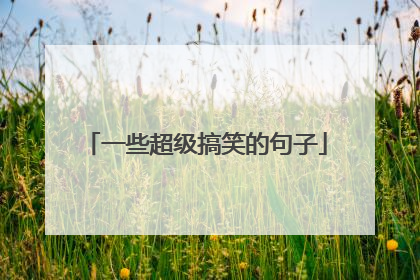 一些超级搞笑的句子
