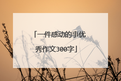 一件感动的事优秀作文300字
