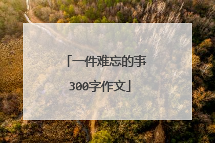 一件难忘的事300字作文