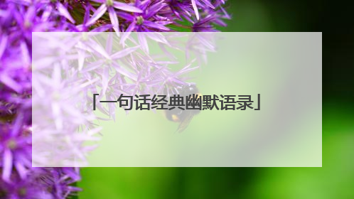 一句话经典幽默语录