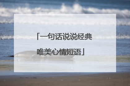 一句话说说经典唯美心情短语