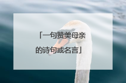 一句赞美母亲的诗句或名言