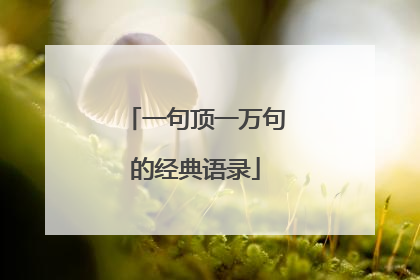 一句顶一万句的经典语录