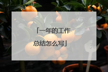 一年的工作总结怎么写