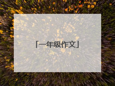 一年级作文