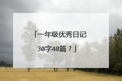 一年级优秀日记30字40篇？