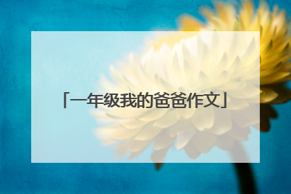 一年级我的爸爸作文
