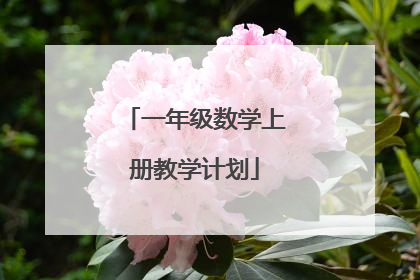 一年级数学上册教学计划