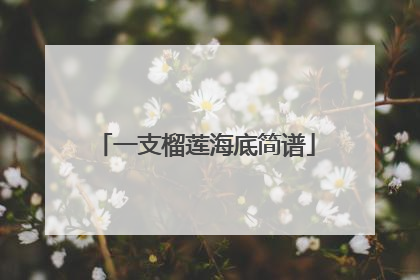 一支榴莲海底简谱