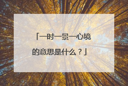 一时一景一心境的意思是什么？