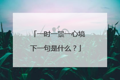 一时一景一心境下一句是什么？