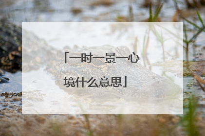 一时一景一心境什么意思