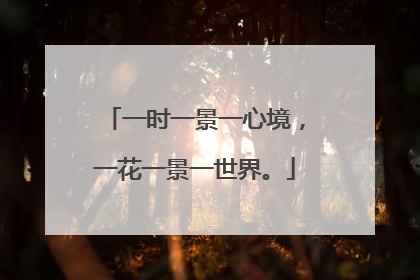 一时一景一心境，一花一景一世界。